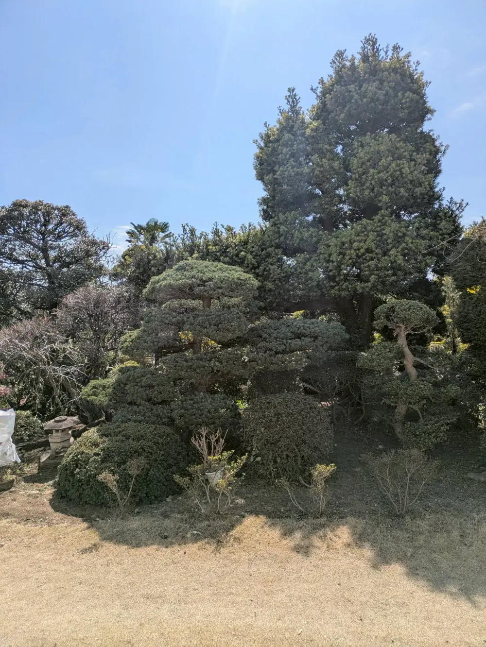 農園ギャラリー写真24