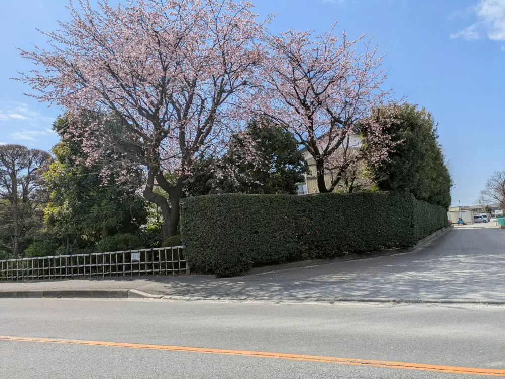 農園ギャラリー写真25