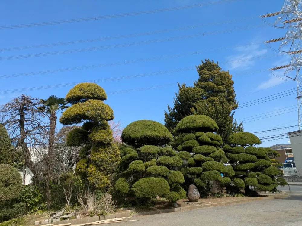 農園ギャラリー写真26