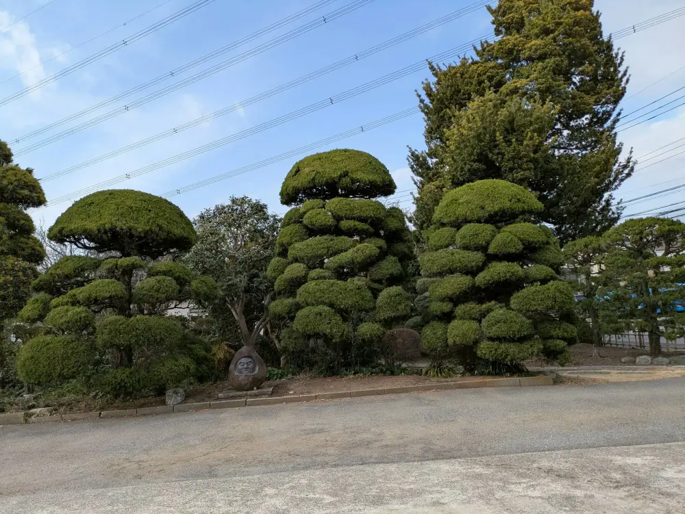 農園ギャラリー写真34