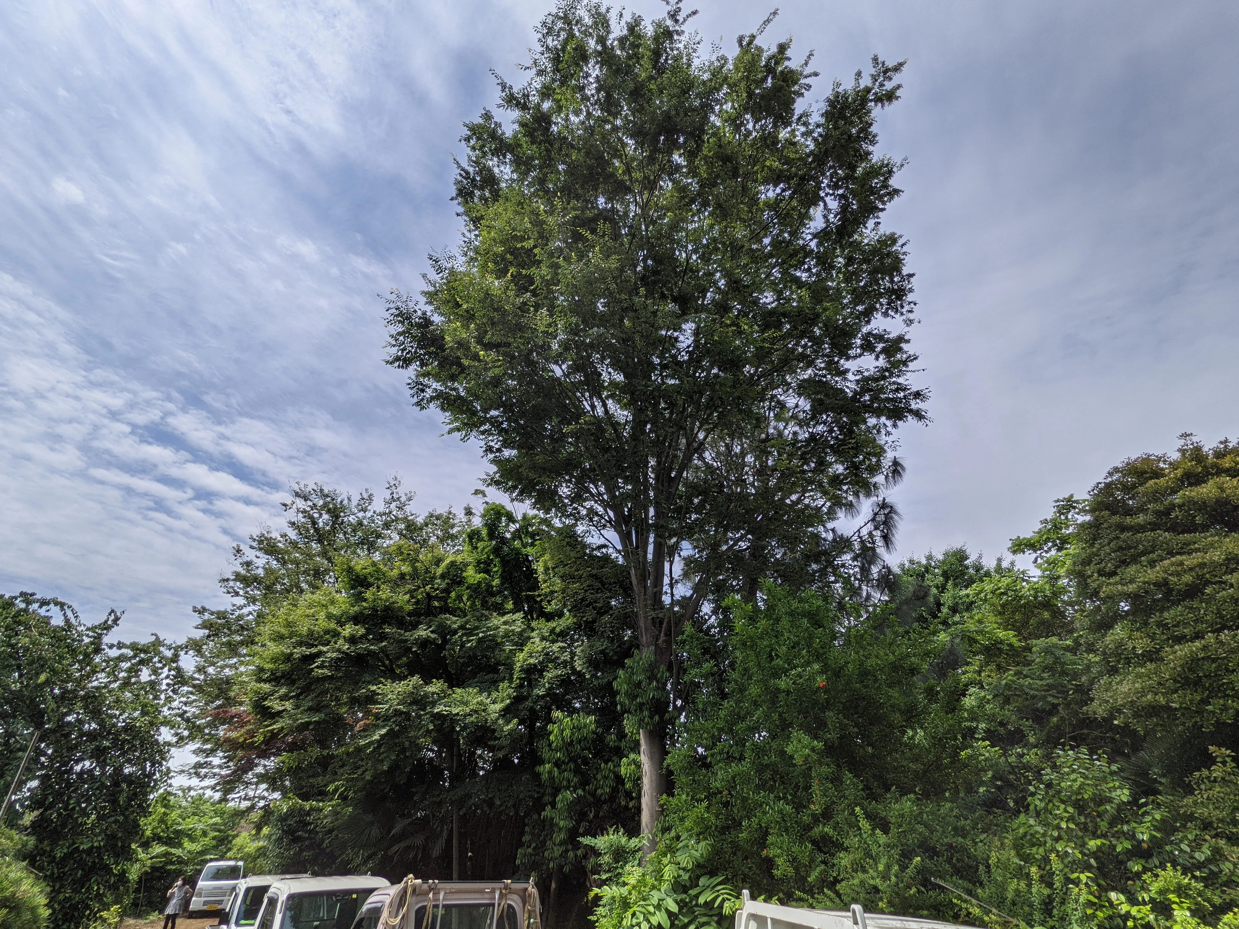 農園ギャラリー写真2