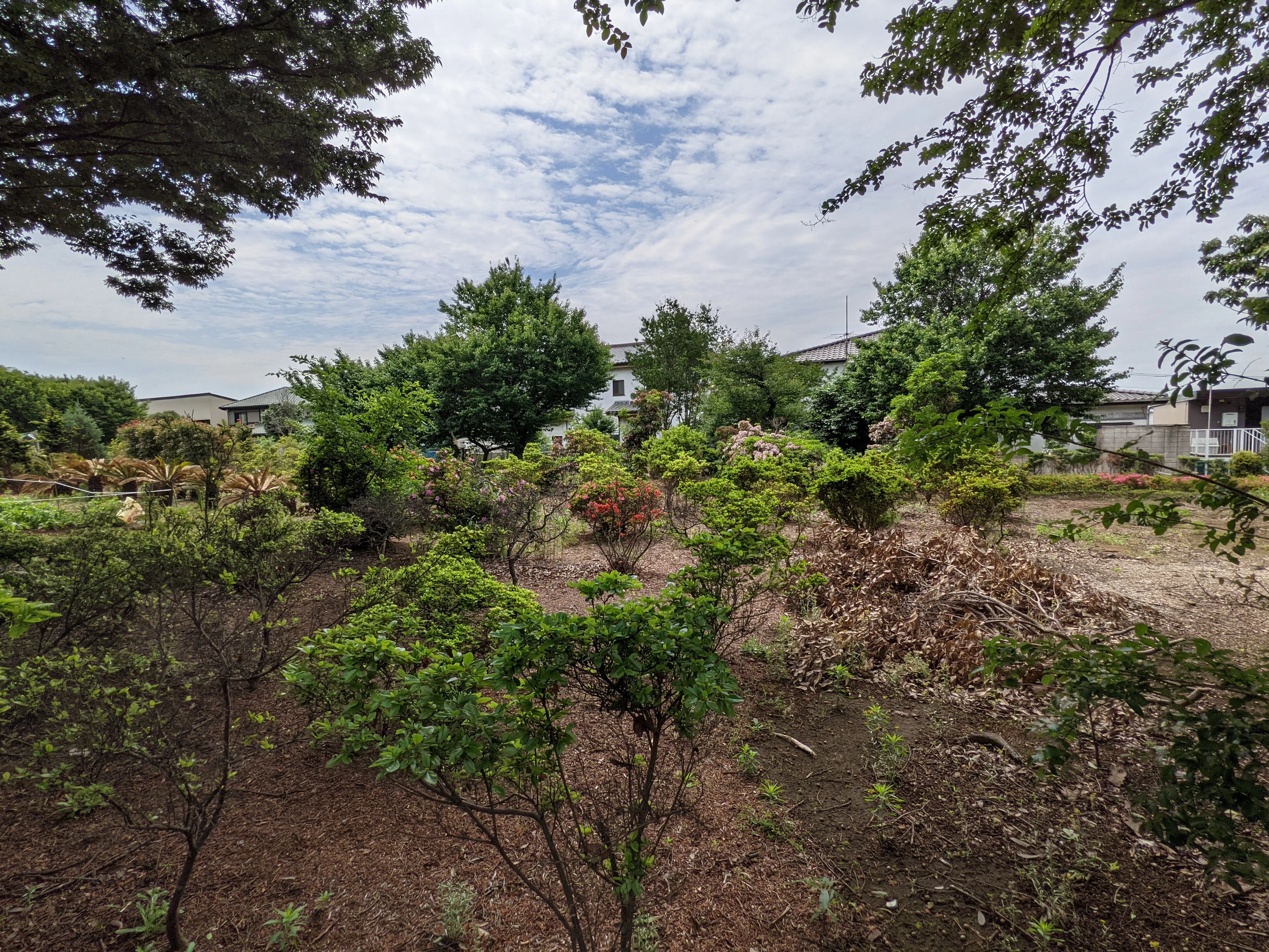 農園ギャラリー写真8