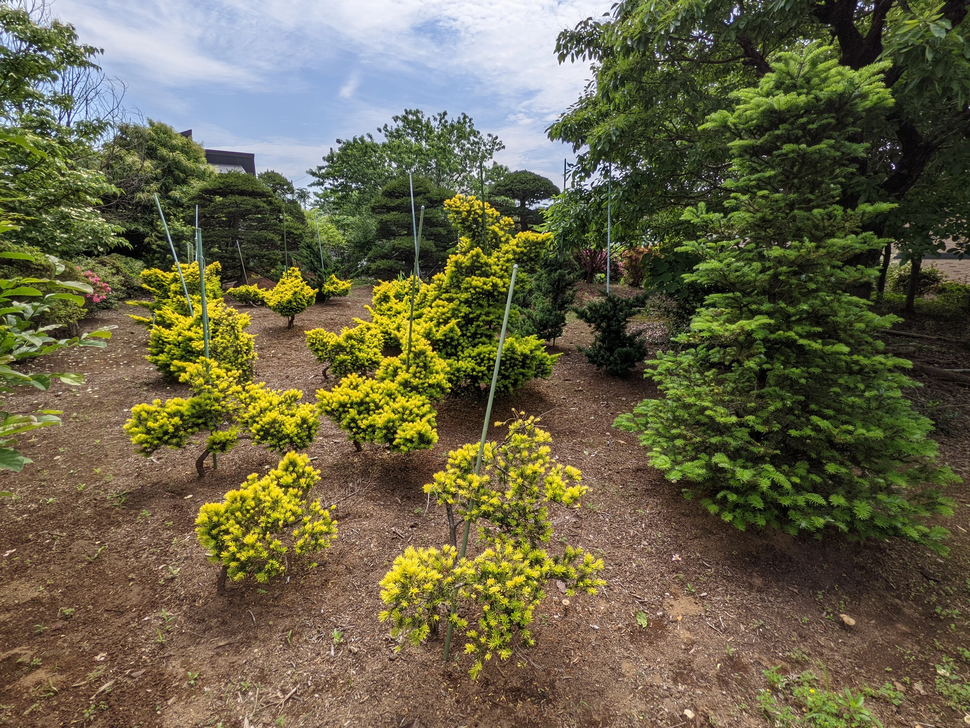 農園ギャラリー写真13