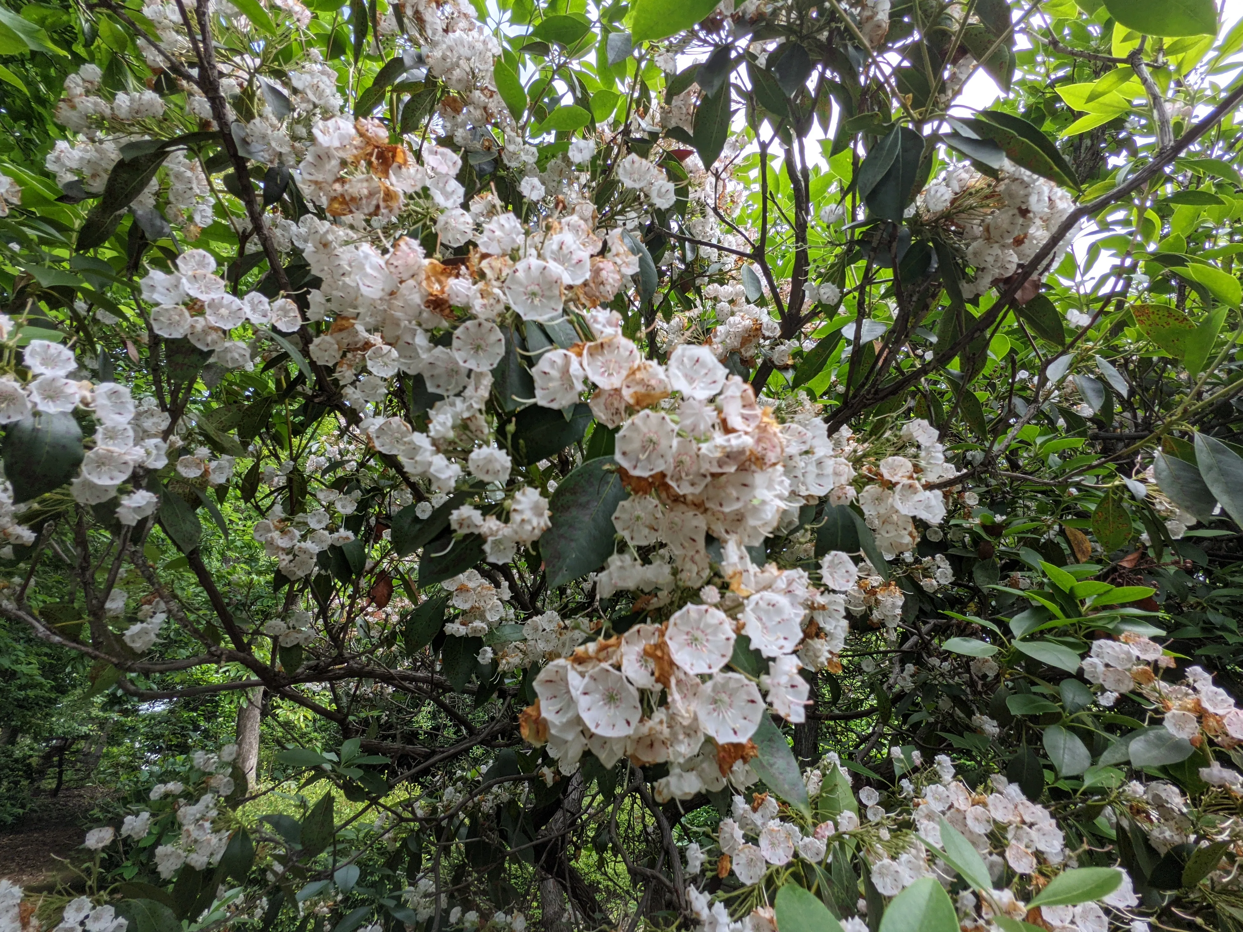 農園ギャラリー写真14