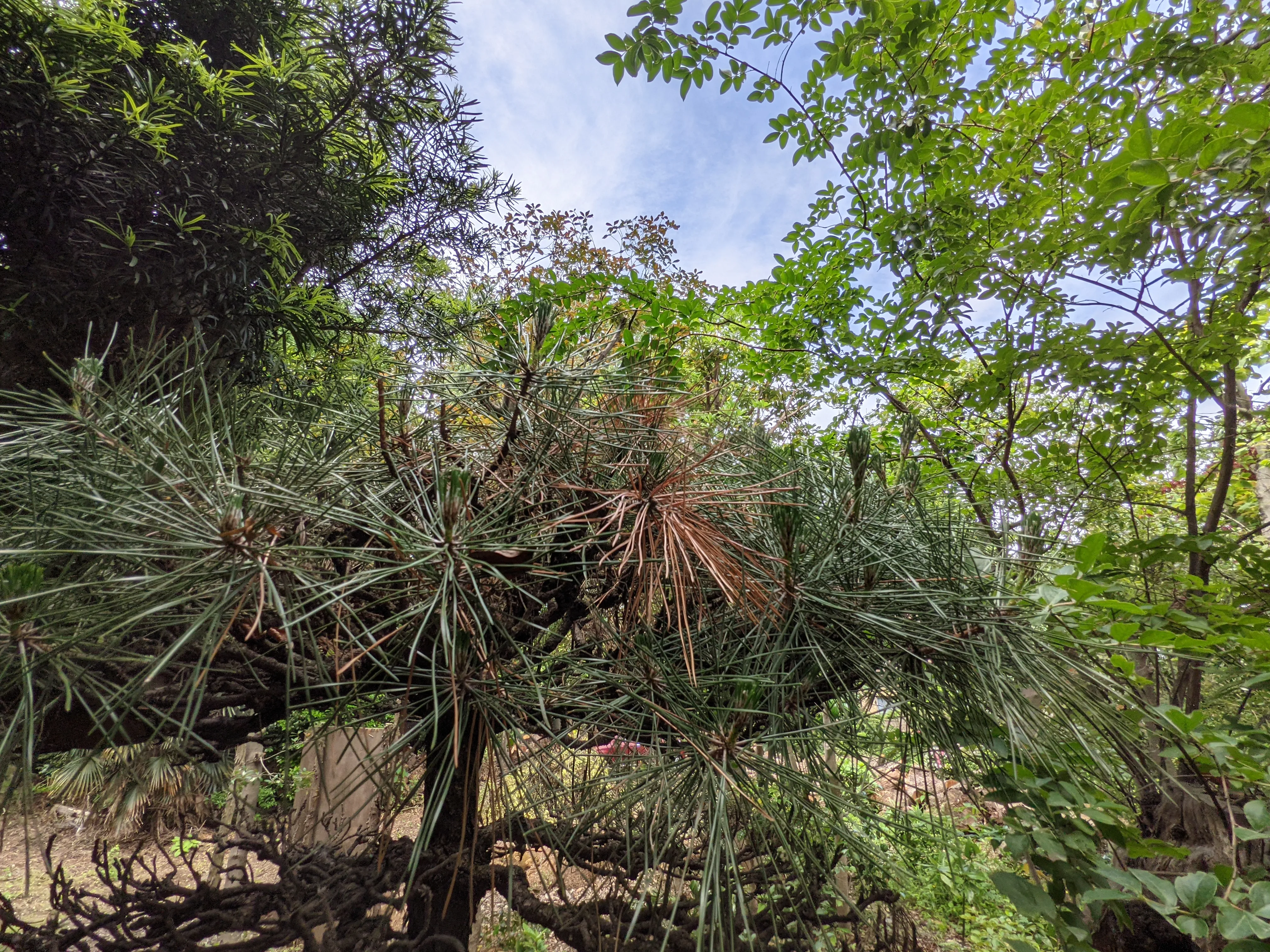 農園ギャラリー写真15