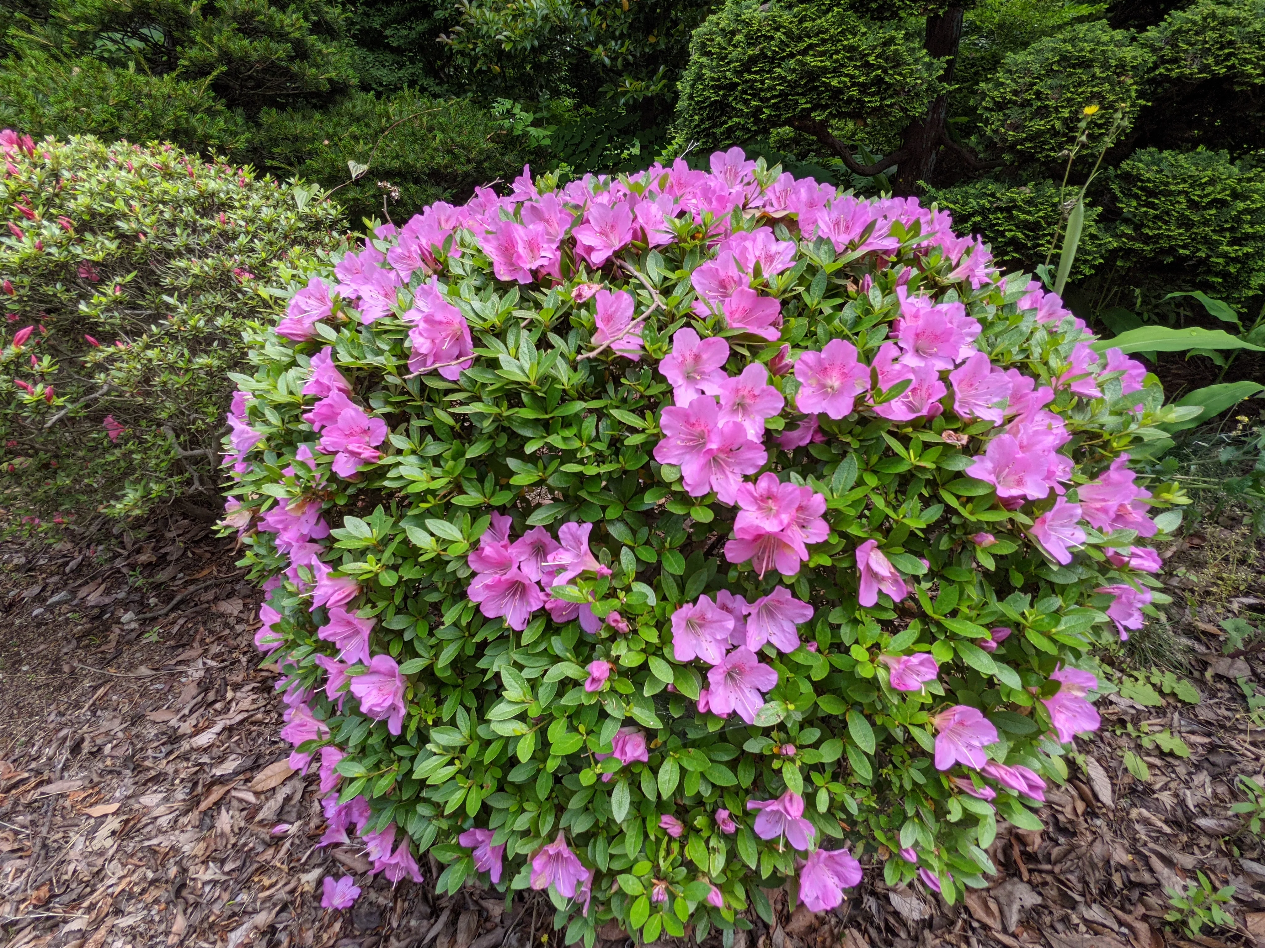 農園ギャラリー写真17