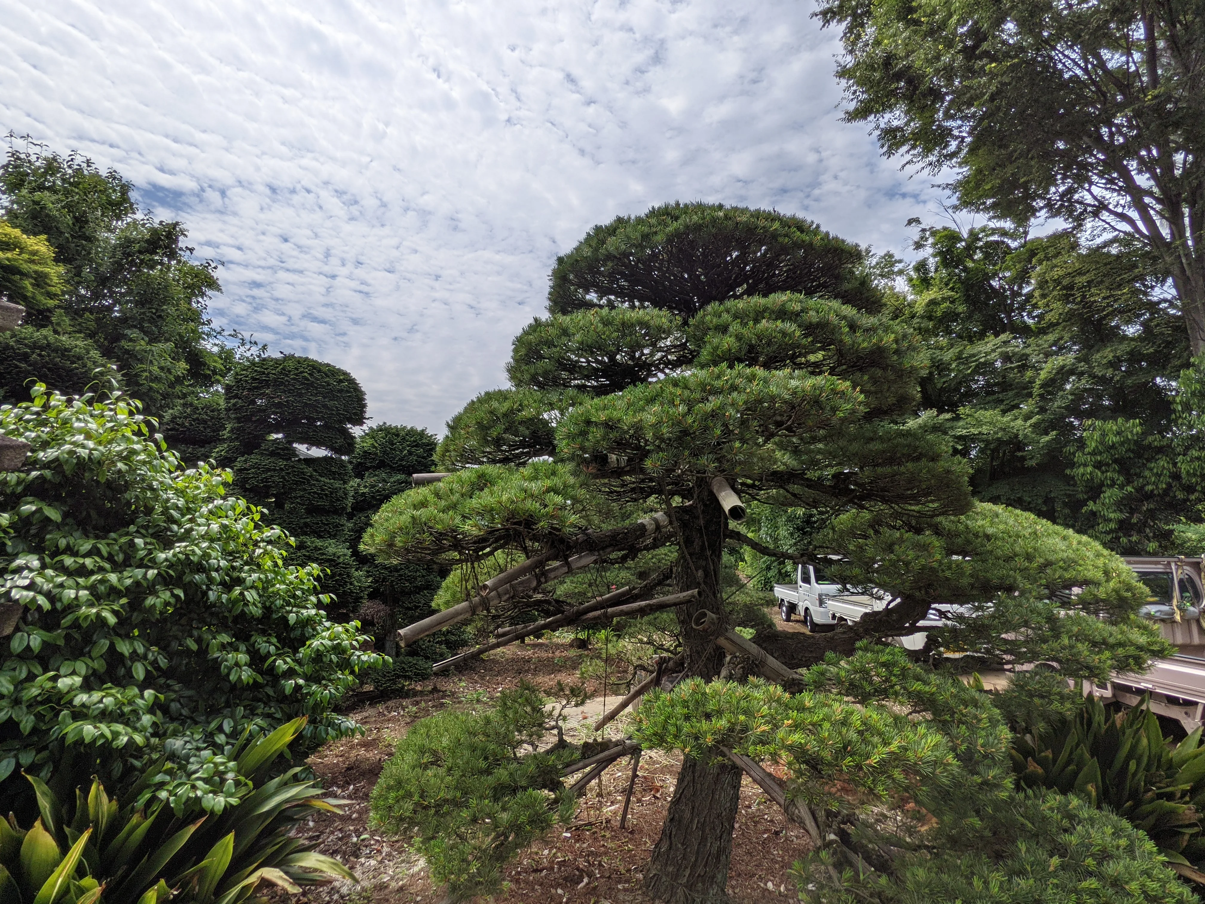 農園ギャラリー写真19