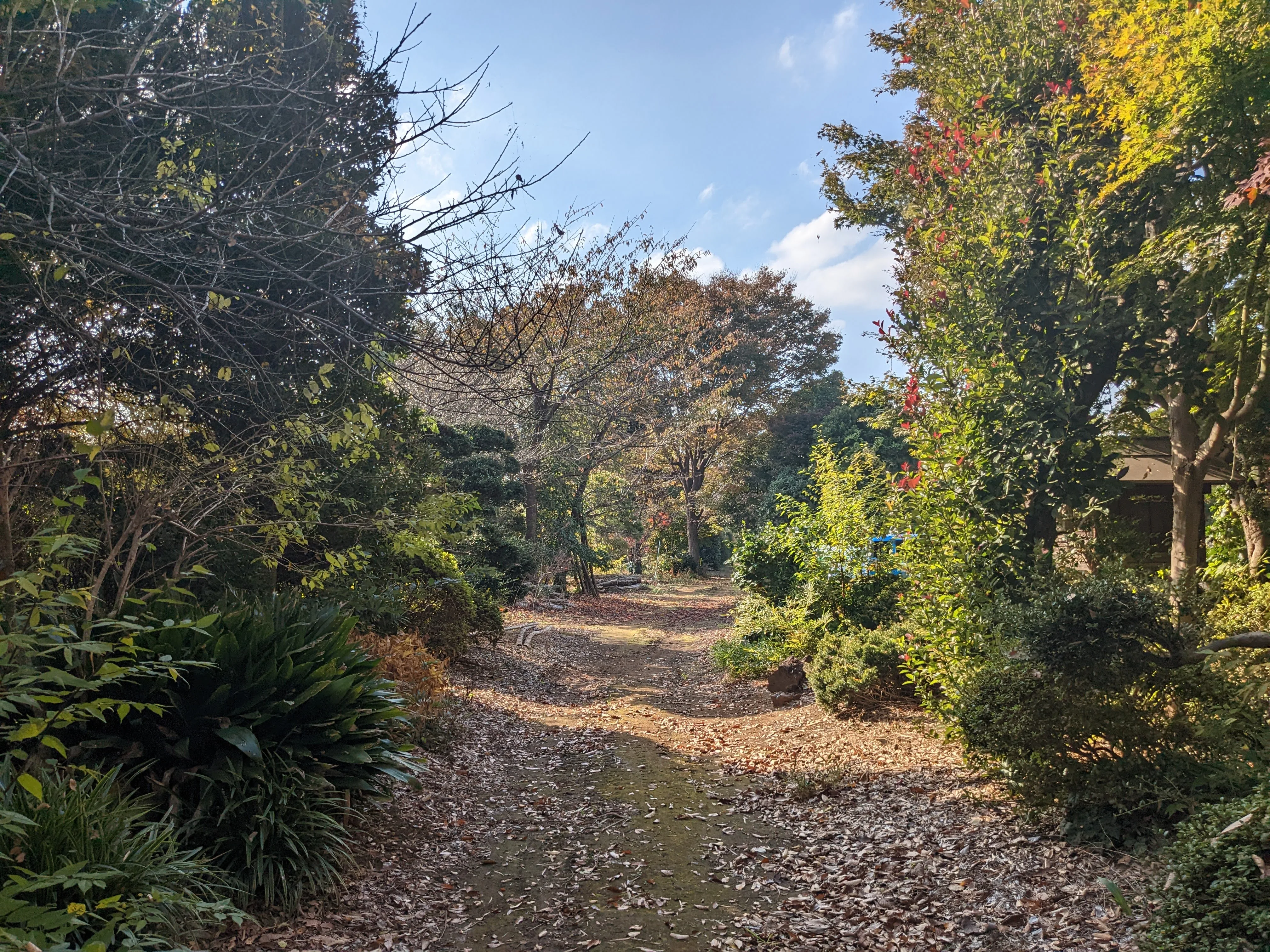 農園ギャラリー写真20